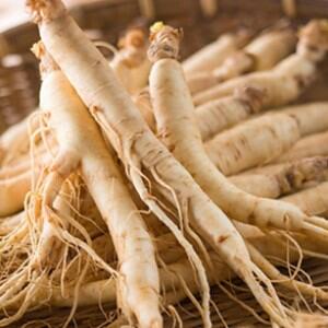 Siberian-Ginseng